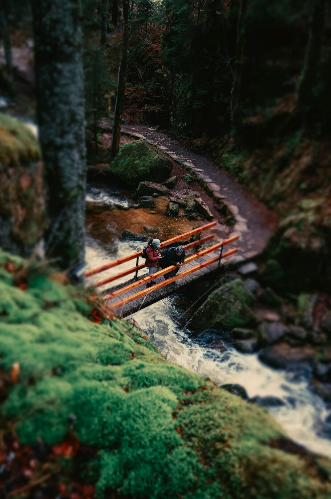 black forest germany